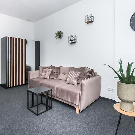 Apartamenty Zabrska 45 Hlivice Exteriér fotografie